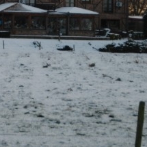 Charmehotel De stokerij te Oudenburg, West-Vlaanderen - Overnachten nabij Brugge, Oostende en De Haan